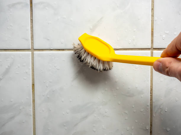 Best Fast Mold Removal  in Fox Island, WA