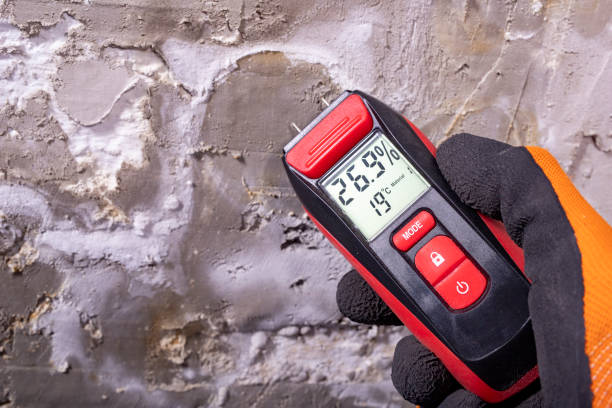 Best Water Damage Restoration  in Fox Island, WA