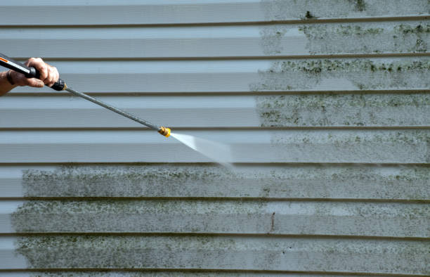 Best Office Mold Removal Services  in Fox Island, WA